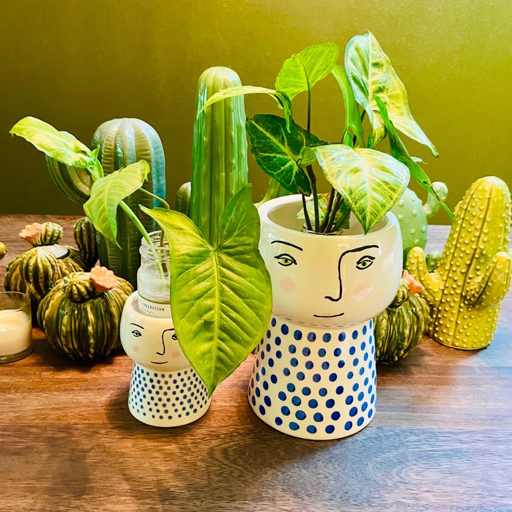 🌿Large Stoneware Family Planter/Vase Blue/White - Picture 3 of 16
